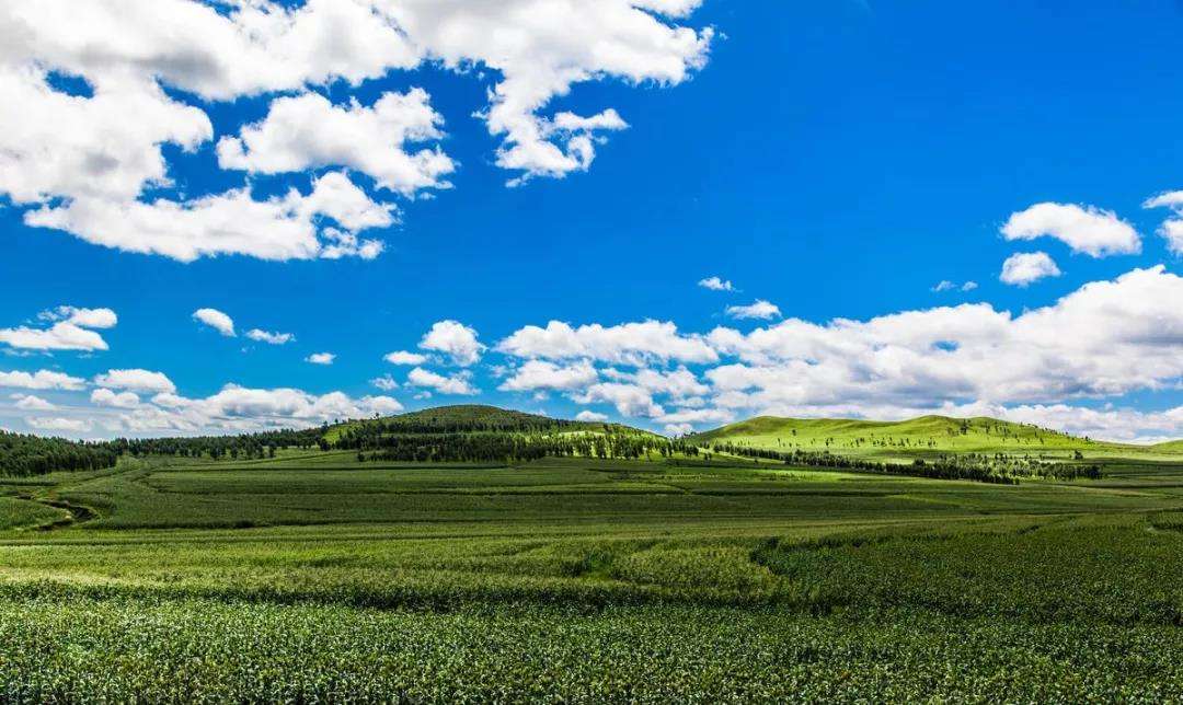 包含蒙古篮球联赛：乌兰巴托队势如破竹，轻松取胜的词条