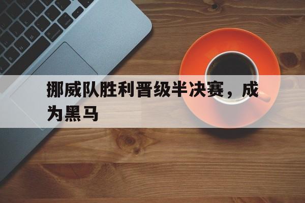 挪威队胜利晋级半决赛，成为黑马