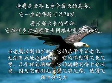 JackeyLove连续十场比赛得分超过突破纪录，老鹰挑战极限！